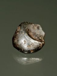 Meteorit