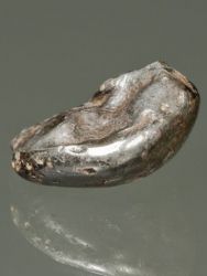 Meteorit