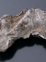 Meteorit