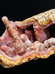Chalcedon