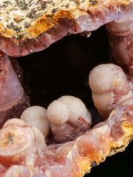 Chalcedon