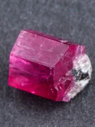 Bixbit
