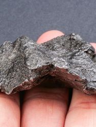 Meteorit