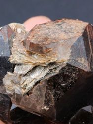 Záhněda, cinvaldit